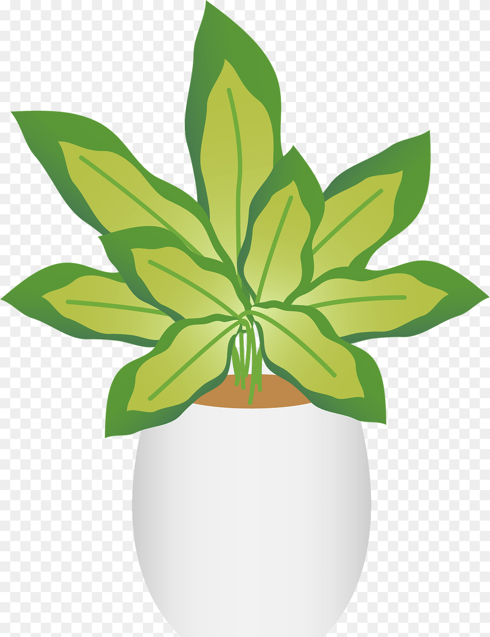 Dieffenbachia Or Dumb Cane In A White Pot Clipart, Jar, Leaf, Plant, Planter Free Png Download