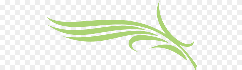 Diera Palm Logo Download Palm, Art, Floral Design, Graphics, Green Png