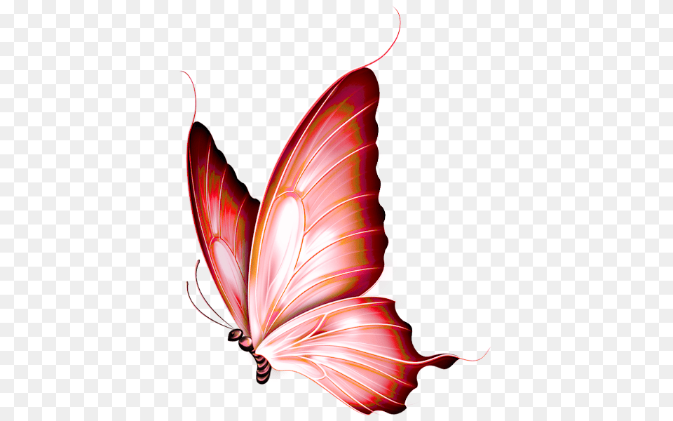 Dieren Painting Poser Coocie Tube Butterfly, Art, Floral Design, Graphics, Pattern Png