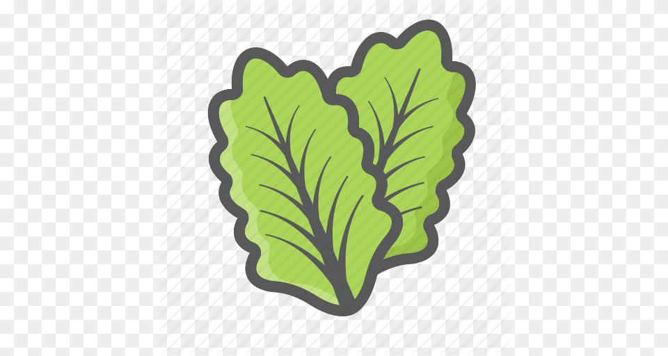 Diet Food Leaf Lettuce Salad Vegetable Vegetarian Icon, Plant, Produce Free Png