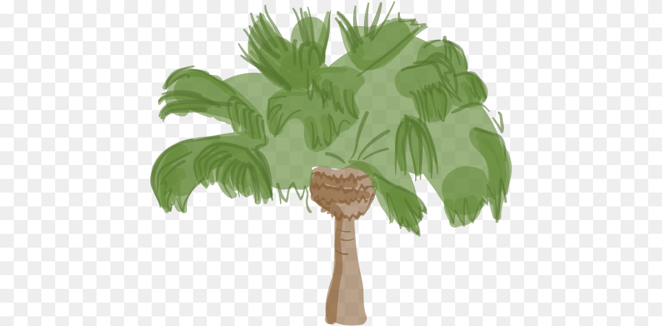 Difference Between King And Queen Palm Trees, Palm Tree, Plant, Tree, Baby Free Transparent Png