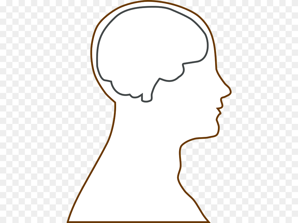 Different Brain In Heads Blank Brain, Body Part, Face, Head, Neck Png Image