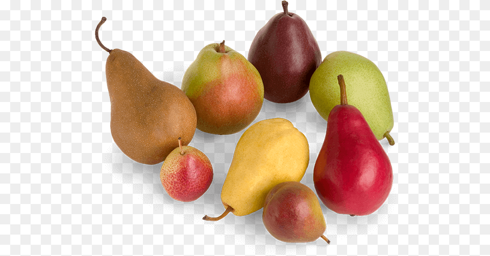Different Color Pears Pear Varieties, Food, Fruit, Plant, Produce Free Transparent Png