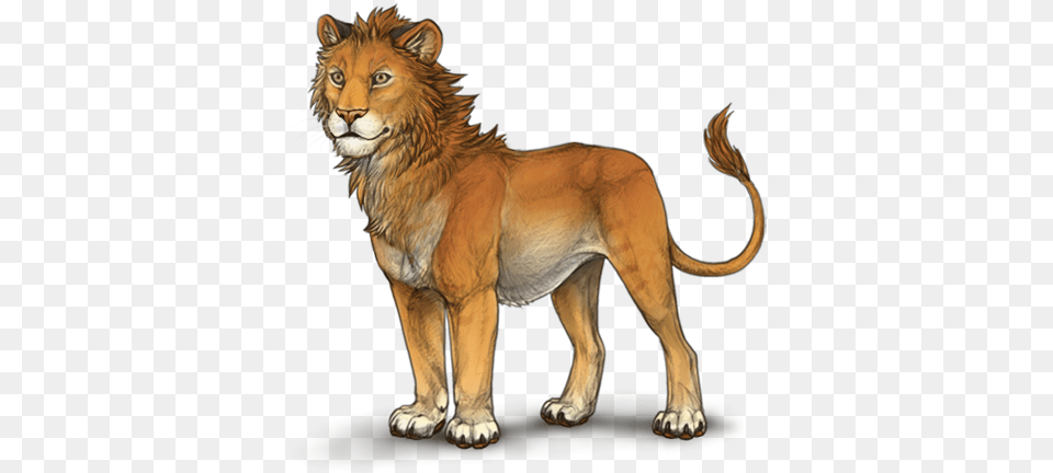 Different Colors Of Lion, Animal, Mammal, Wildlife Free Png Download