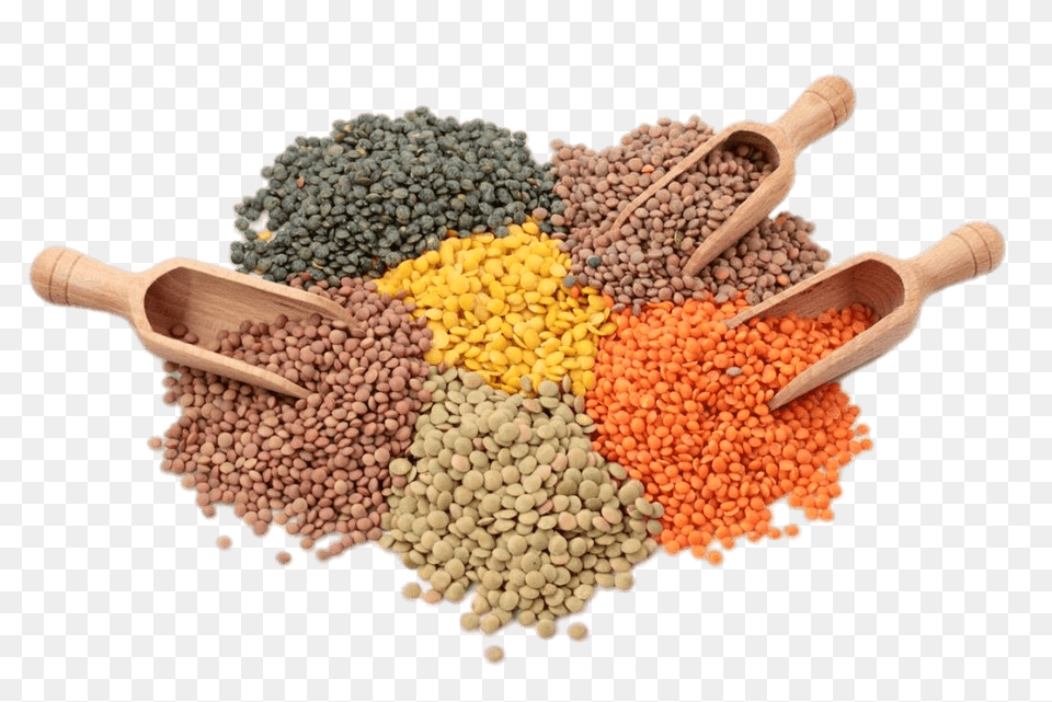 Different Kinds Of Lentils, Bean, Food, Lentil, Plant Free Png