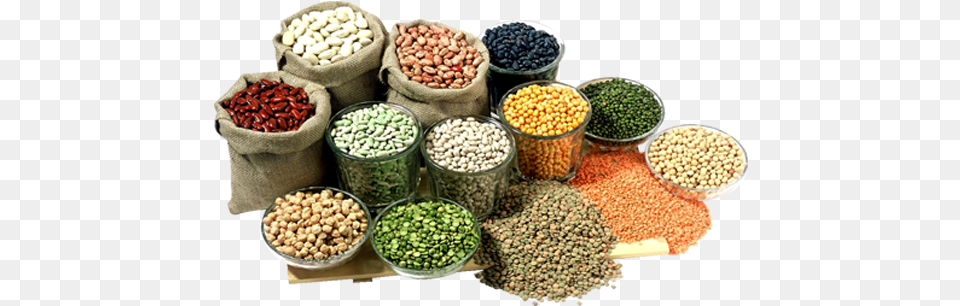 Different Pulses, Bean, Food, Plant, Produce Free Transparent Png