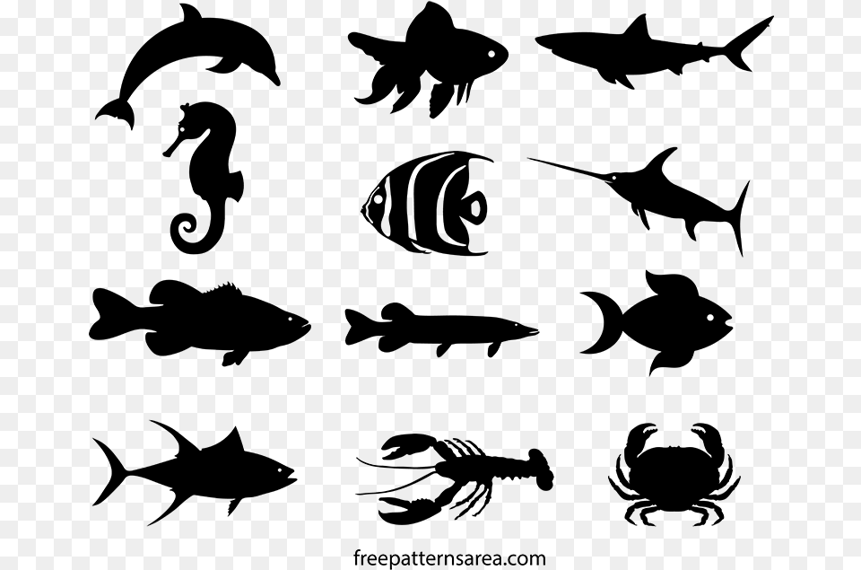 Different Shape Of Fish, Gray Free Png Download
