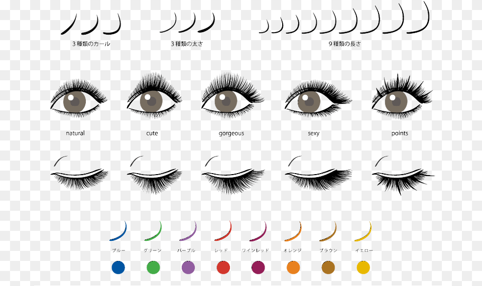 Different Types Of Eyelash Extension Looks, Outdoors, Night, Nature, Person Png Image