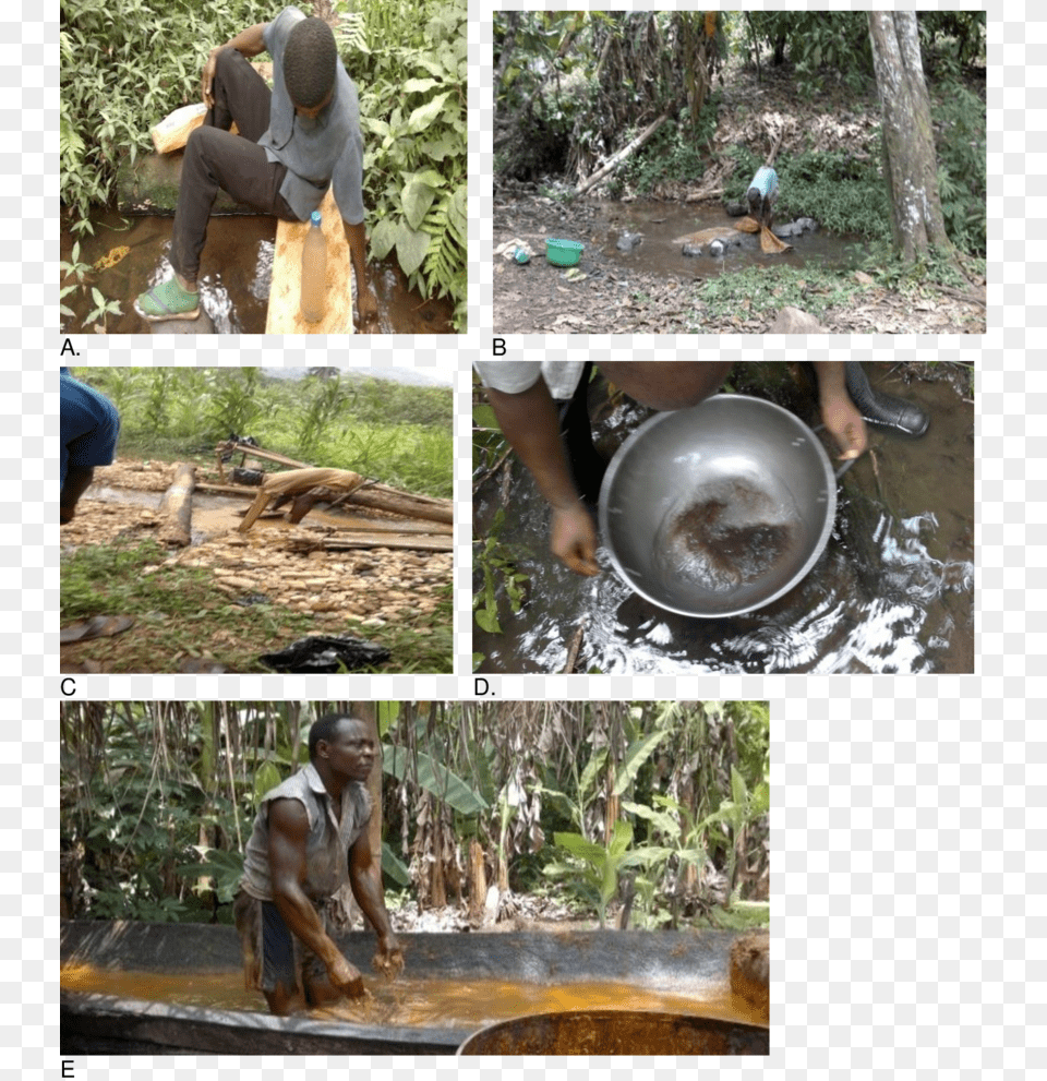 Different Uses Of Stream Water In The Area Water, Vegetation, Tree, Plant, Woodland Free Png