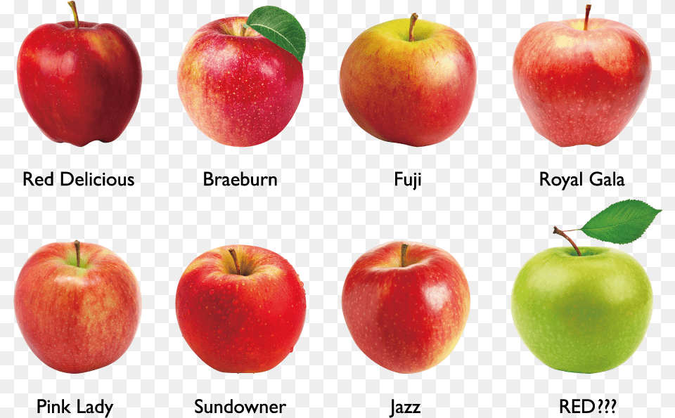 Different Varieties Of Apples Arme Pomme 50 G Decora, Apple, Food, Fruit, Plant Png