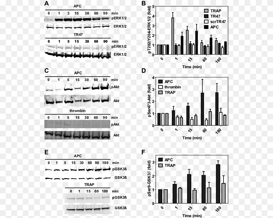 Differential Phosphorylation Was Determined For, Chart, Plot, Text Free Transparent Png