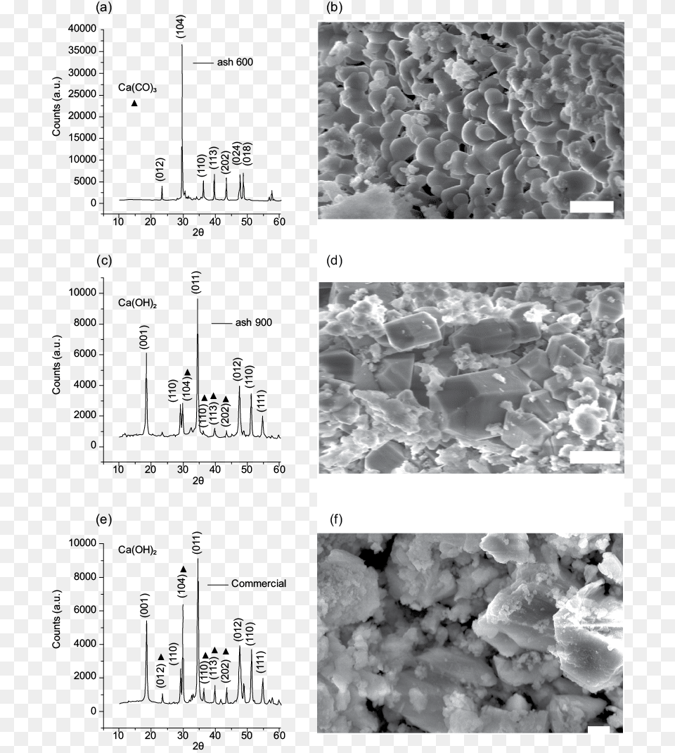 Diffractogram Patterns Of The Samples And Scanning Monochrome, Chart, Plot Free Transparent Png