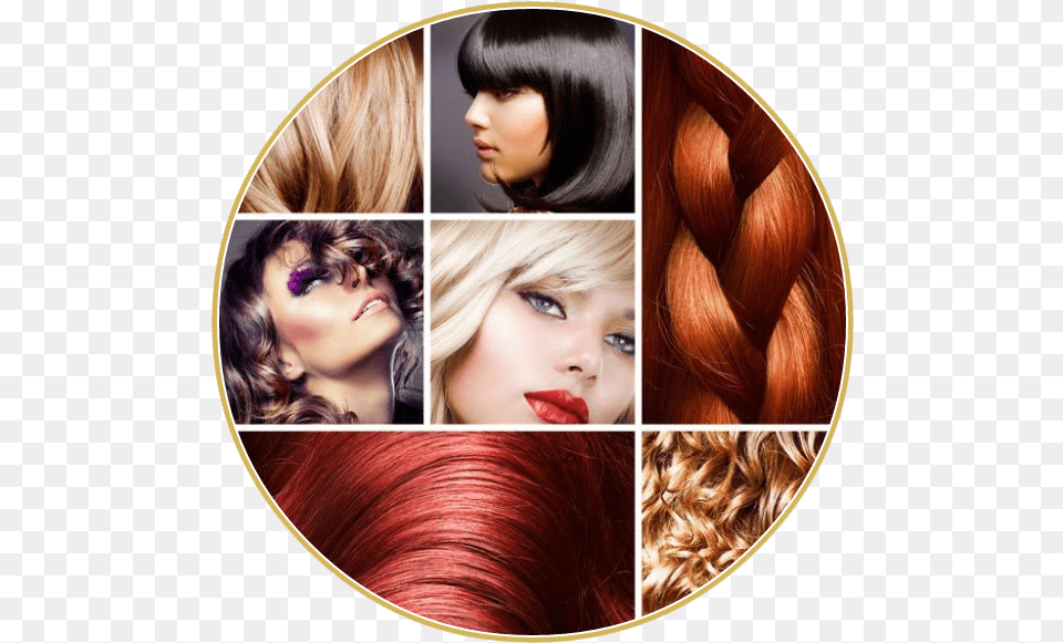 Diffrentes Couleurs De Cheveux, Adult, Female, Person, Woman Free Transparent Png