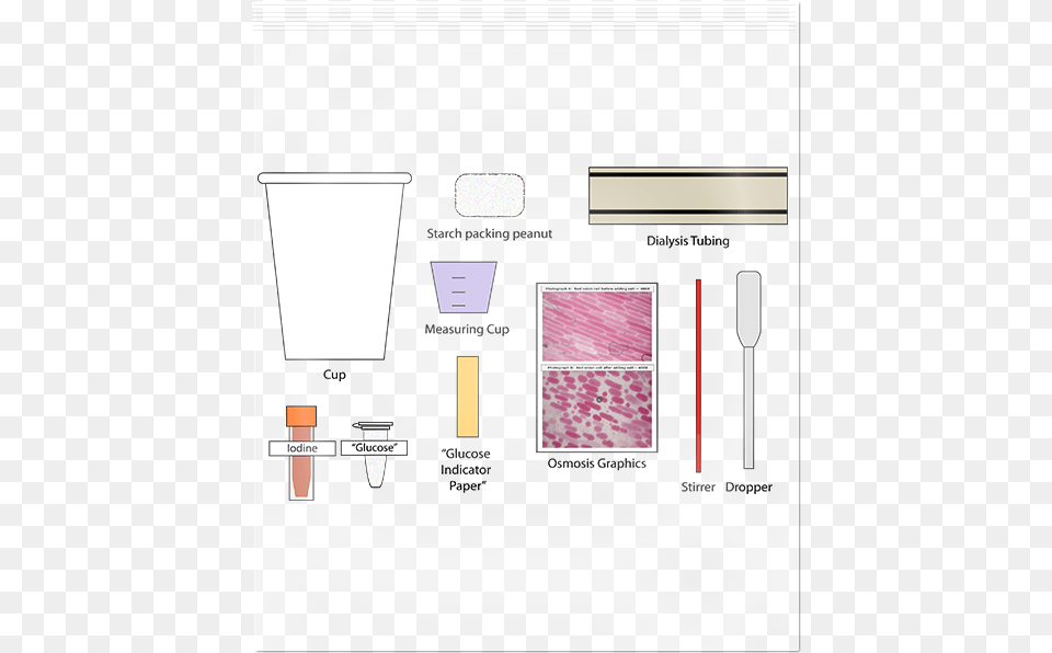 Diffusion And Osmosis Graphic Design, Chart, Plot Png Image