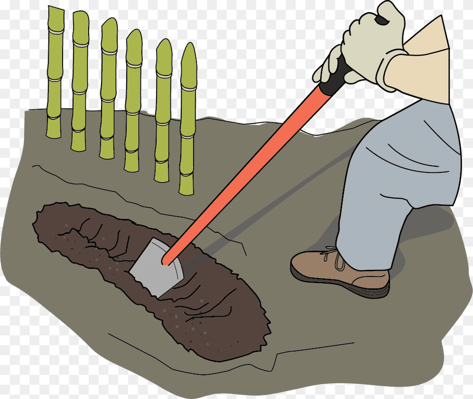 Dig Trench With Shovel A Small Trench Is Dug In Which Shovel Trench Digging, Person, People Free Png