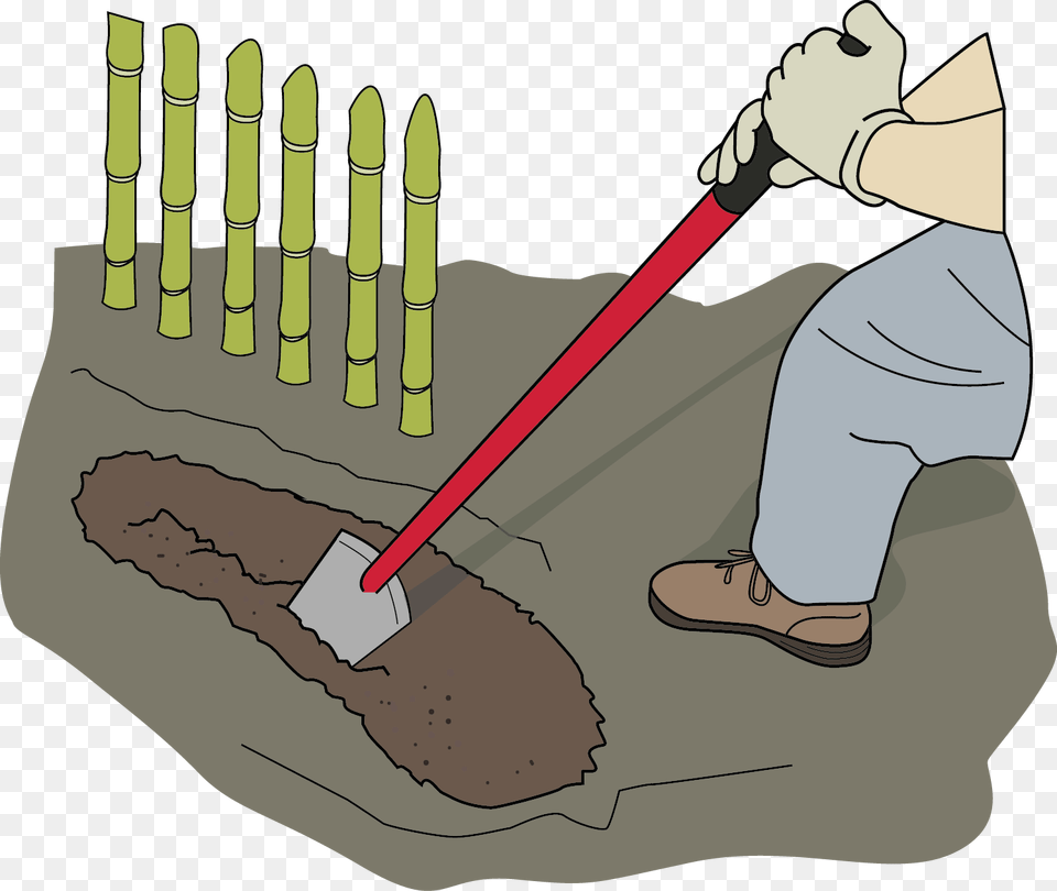 Dig Trench With Shovela Small Trench Is Dug In Which Shovel Trench Digging, Baby, Person, Device Png