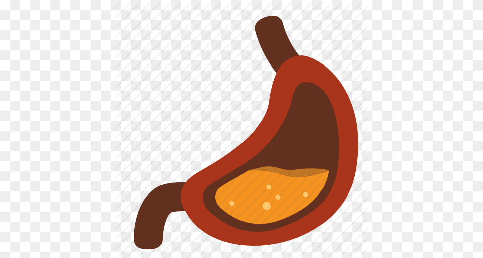 Digestion Entrail Gastric Gastric Juice Gastroenterology, Food, Fruit, Plant, Produce Png Image