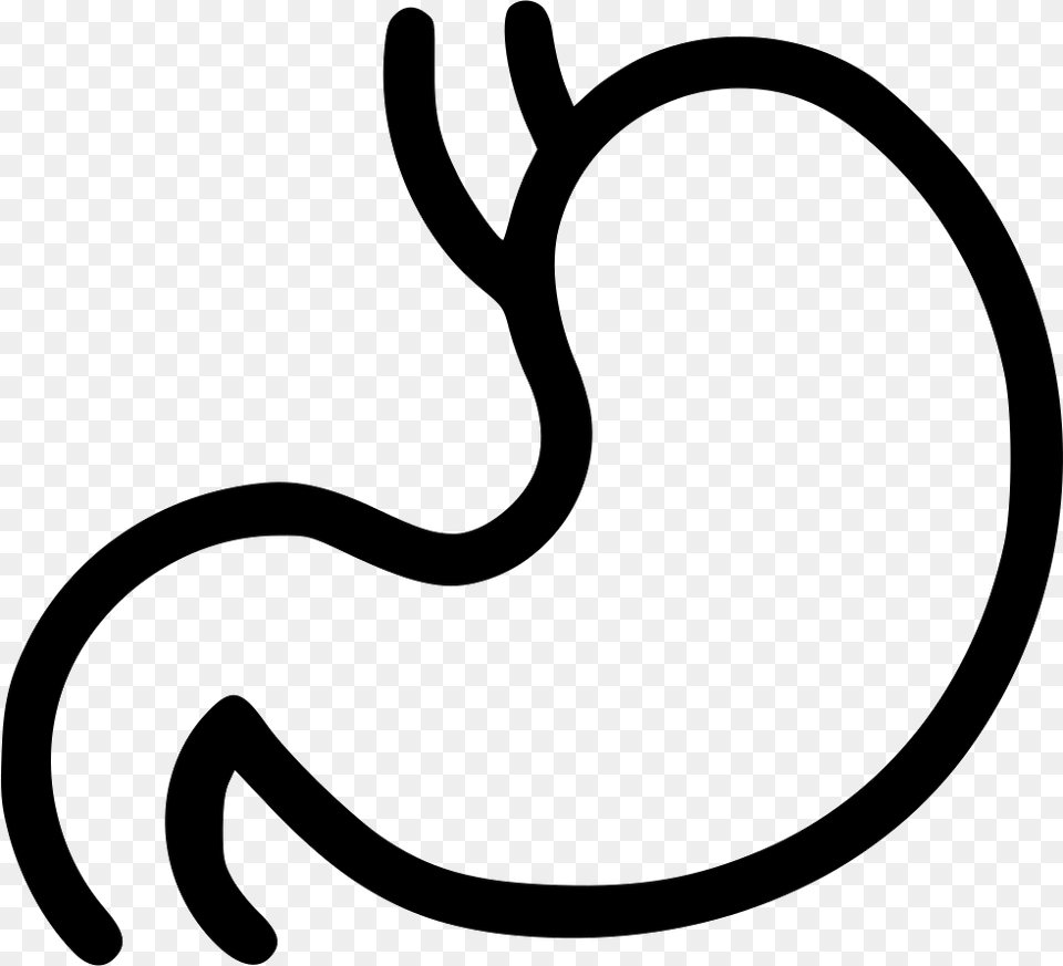 Digestion Stomach Getroenterology Organ Healthcare Organs Icon Black And White, Smoke Pipe, Stencil Free Transparent Png