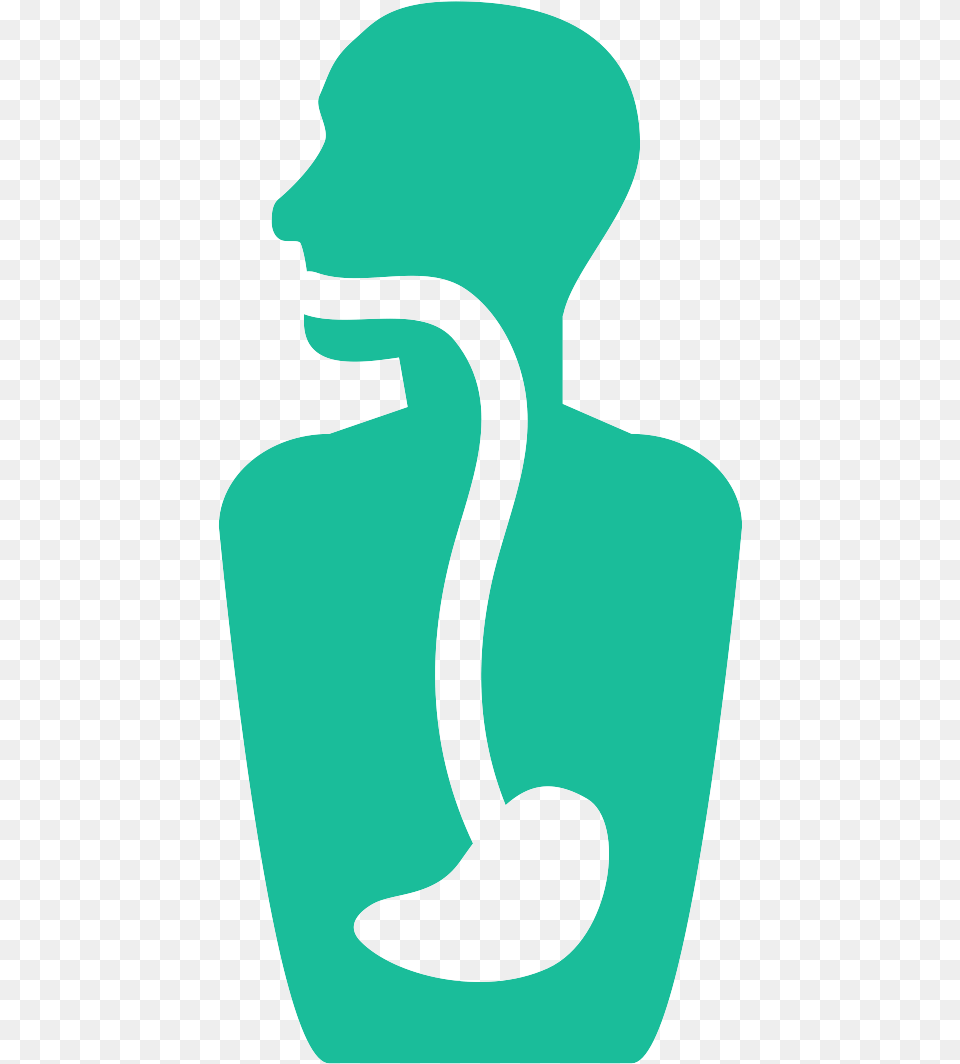 Digestive Icon Clipart Dot, Adult, Female, Person, Woman Png
