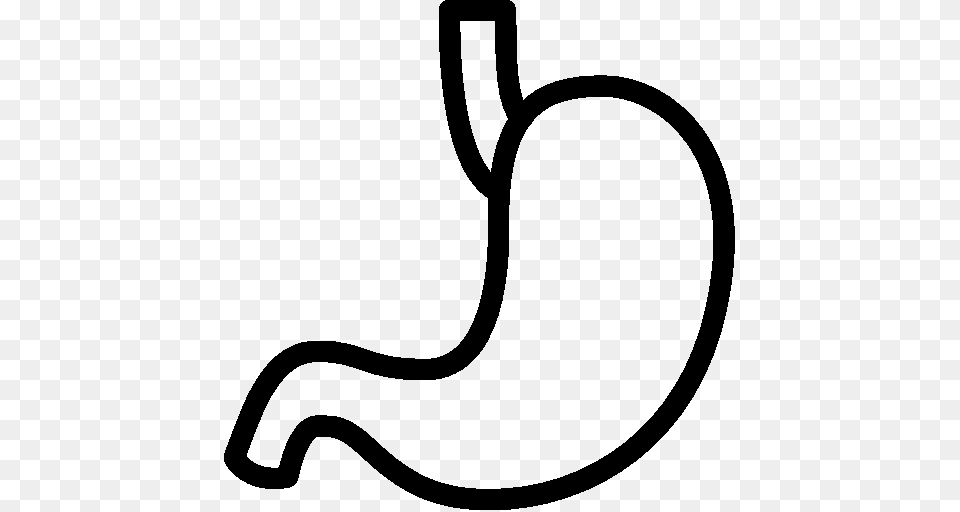 Digestive System, Body Part, Stomach, Smoke Pipe Free Transparent Png