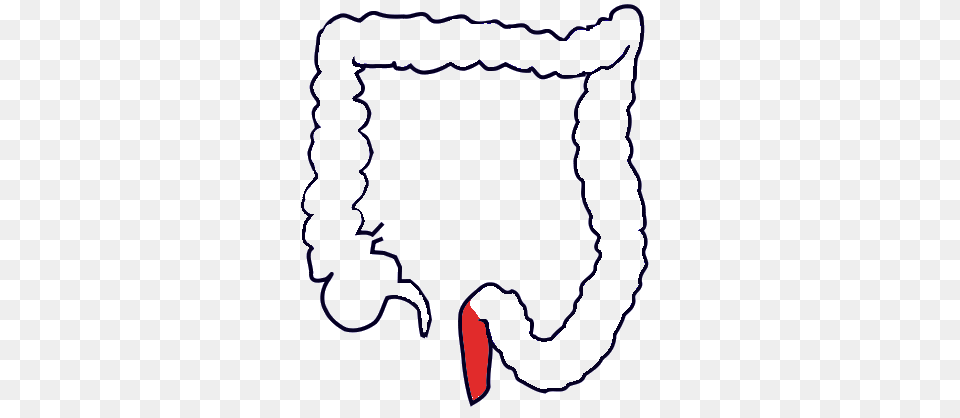 Digestive System Analogy Assessment, Person, Water Png