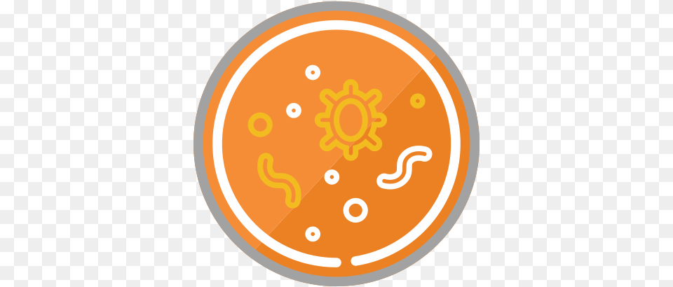 Digestive System Circle, Pattern Free Transparent Png