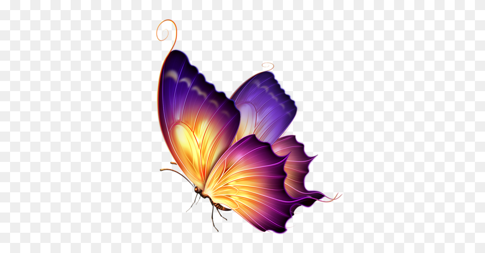 Digital Art Butterfly, Graphics, Pattern, Accessories, Fractal Png