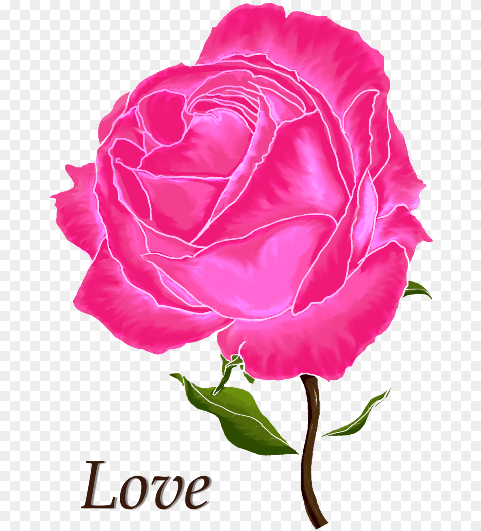 Digital Arts 2017 By Hayley Nunn Digital Rose Images Love Flowers, Flower, Plant, Carnation, Petal Free Transparent Png