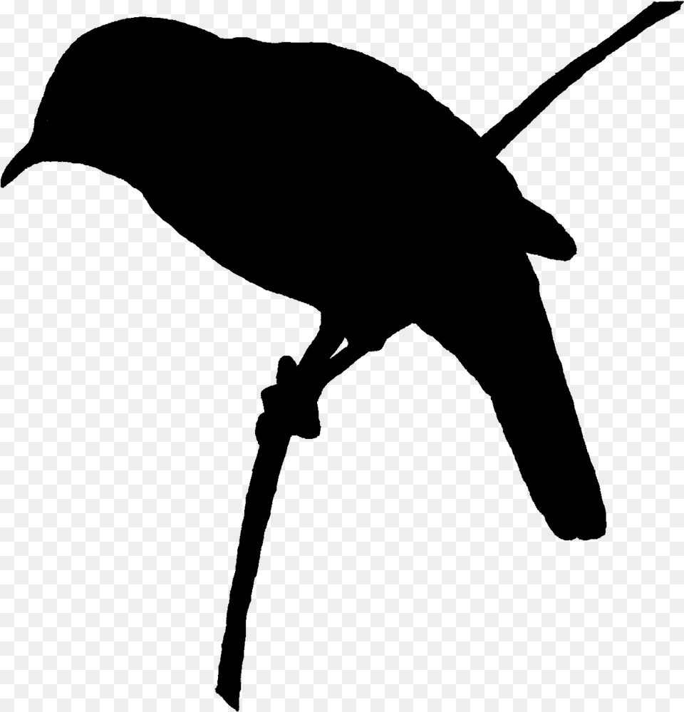 Digital Bird Silhouette Perching Bird, Nature, Night, Outdoors, Lighting Free Png Download