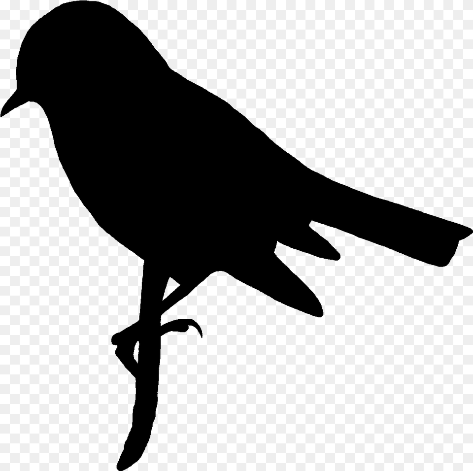 Digital Bird Silhouette Downloads Digital Stamp, Gray Png Image