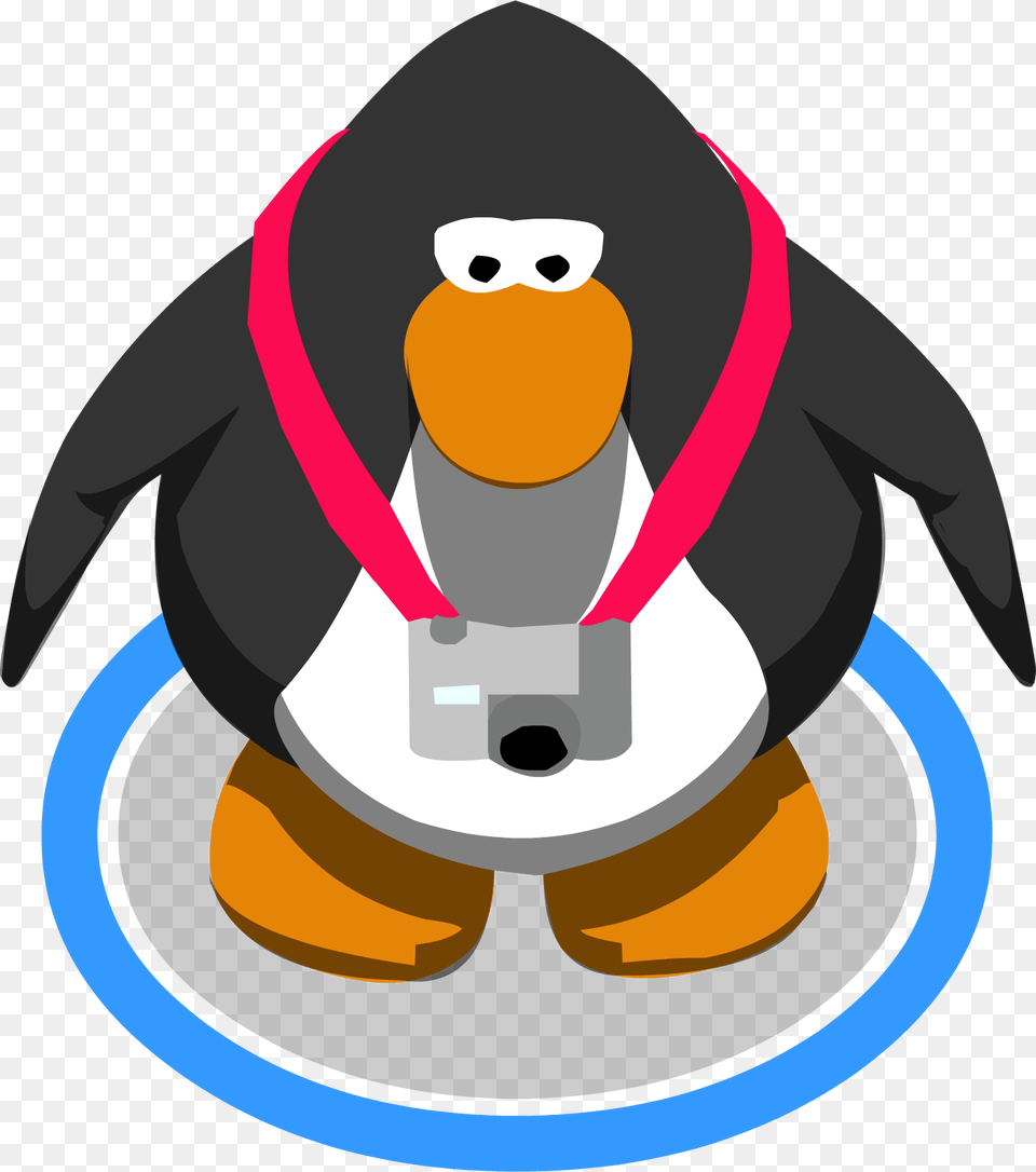 Digital Camera, Animal, Bird, Penguin, Nature Png Image