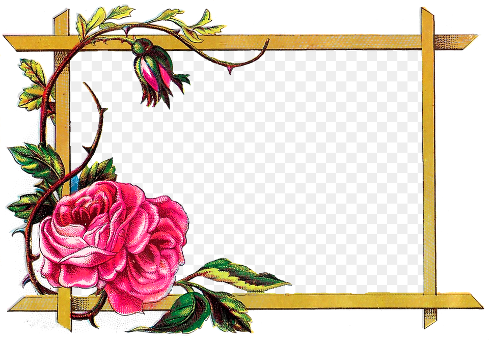 Digital Clipart Craft Rose Border Download, Blackboard, Flower, Plant Png Image