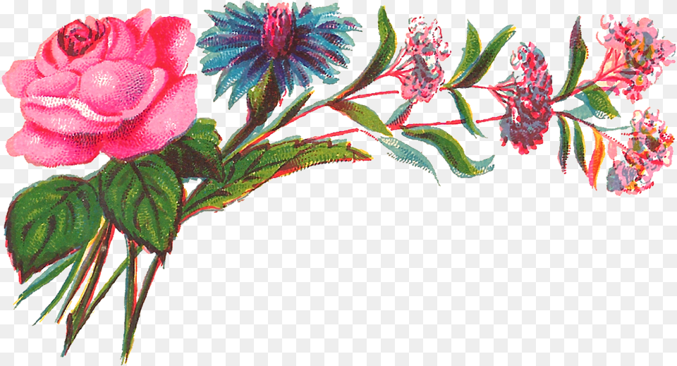 Digital Decorative Flower Corner Flowers, Art, Graphics, Plant, Rose Free Png Download
