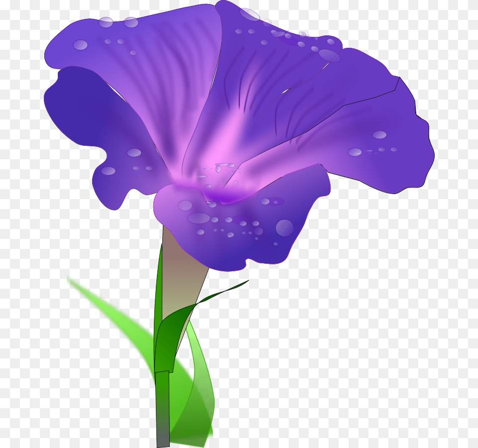 Digital Display With Good Morning Svg Vector File Morning Glory Flower Clipart, Iris, Petal, Plant, Purple Free Png