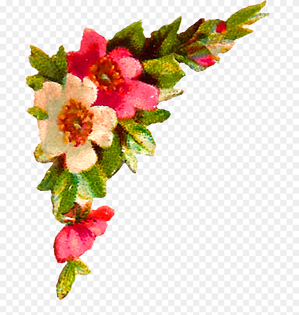Digital Flower Corner Design Roses Clip Flower Corners, Accessories, Flower Arrangement, Petal, Plant Free Transparent Png