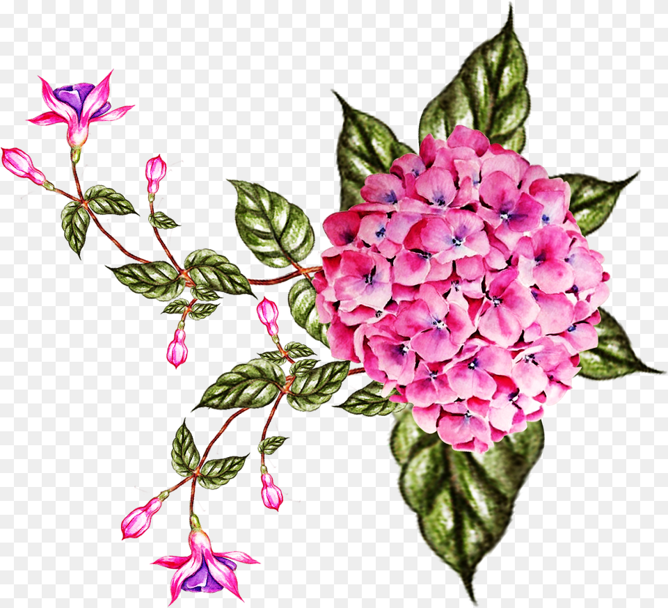 Digital Flower Design 2210 Lavanya Fabric Design Rosa Glauca, Dahlia, Geranium, Plant, Flower Arrangement Png Image