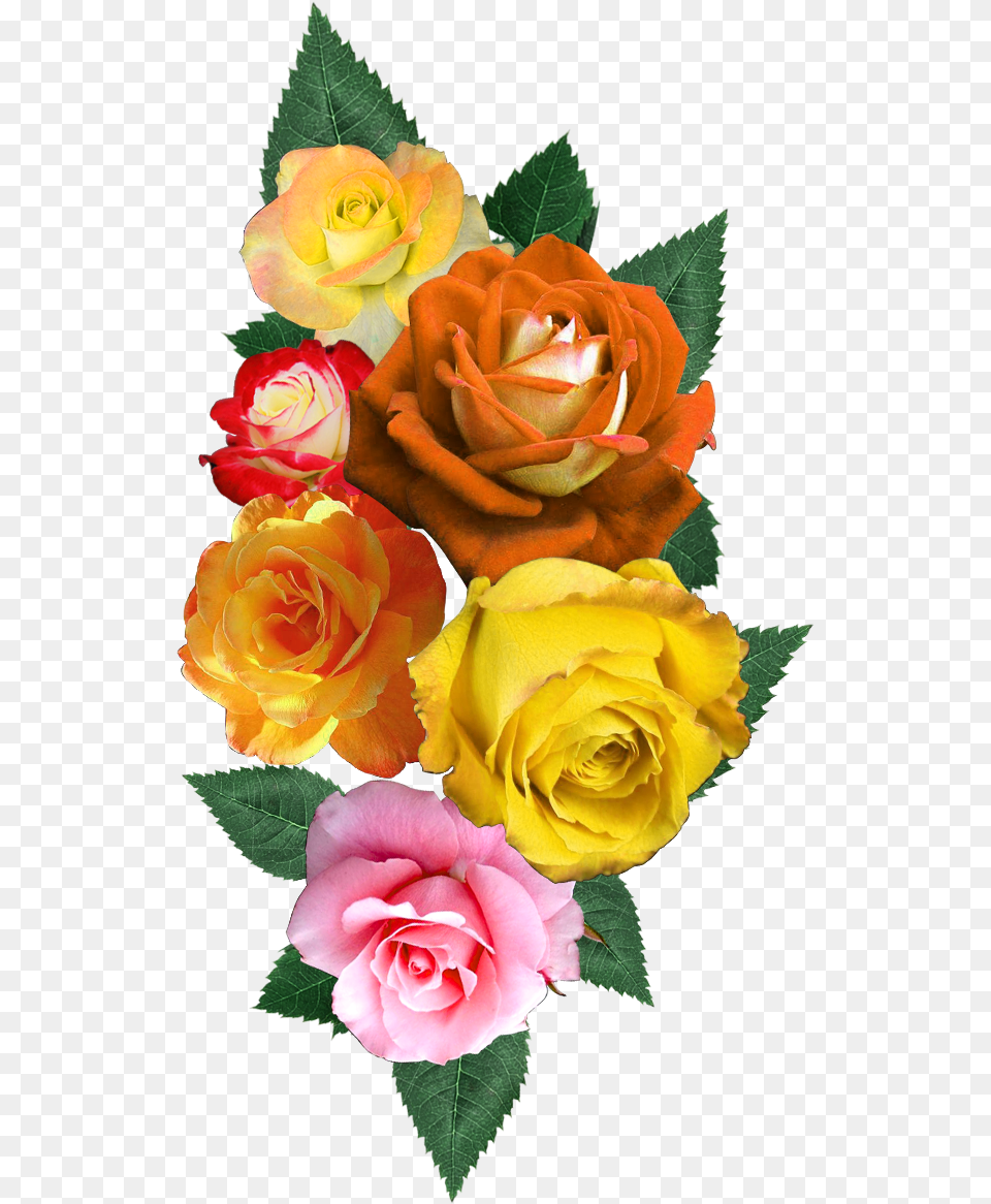 Digital Flower Design Vectorflowervector Artflower Garden Roses, Flower Arrangement, Flower Bouquet, Plant, Rose Free Png Download