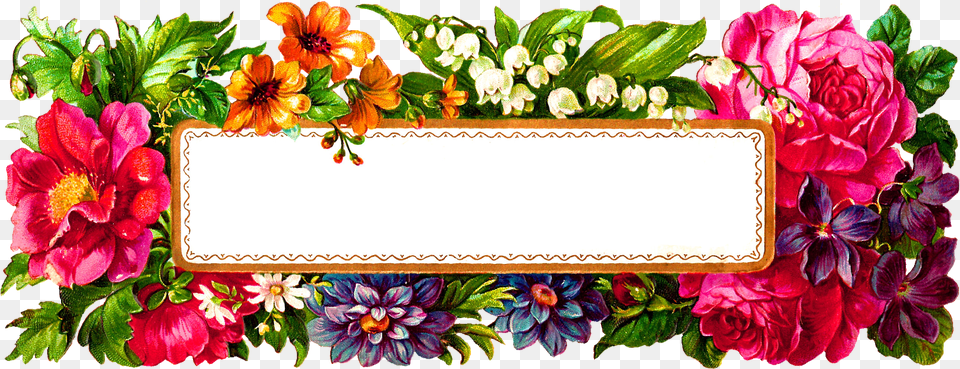 Digital Flower Label Blank Wildflower Rectangle Flower Frame, Art, Plant, Floral Design, Pattern Free Png Download