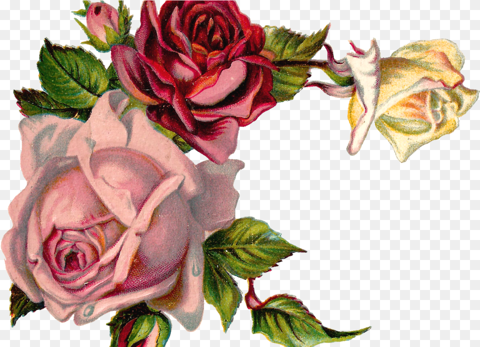 Digital Flower Pink Rose Corner Design Flower Rose Corner Design, Plant, Art, Pattern, Flower Arrangement Free Transparent Png
