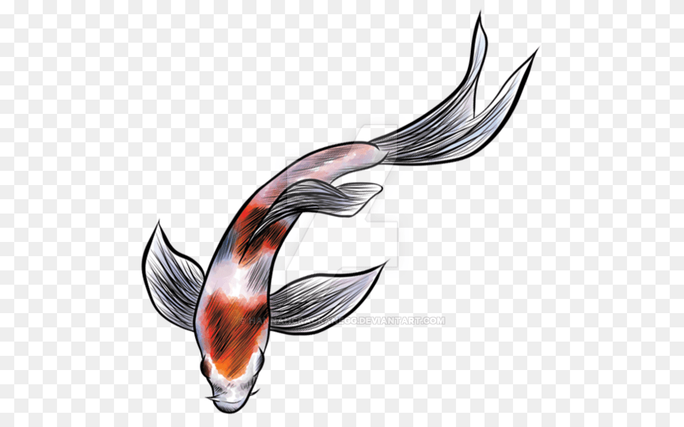 Digital Koi Fish, Animal, Sea Life, Carp, Bird Free Png Download