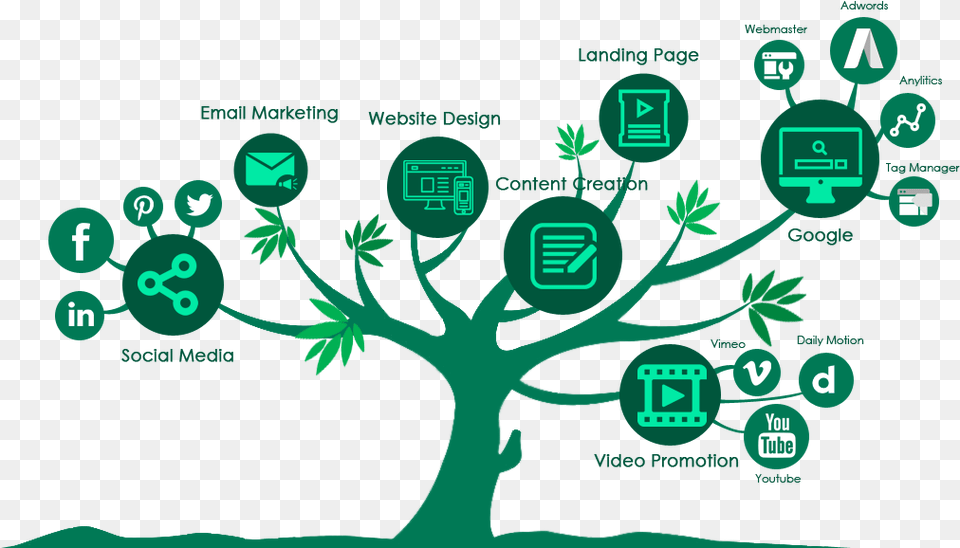 Digital Marketing Wimmby Technologies Digital Marketing Tree, Green, Face, Head, Person Png