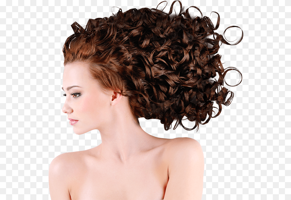 Digital Perm Whole Hair, Adult, Person, Woman, Female Png