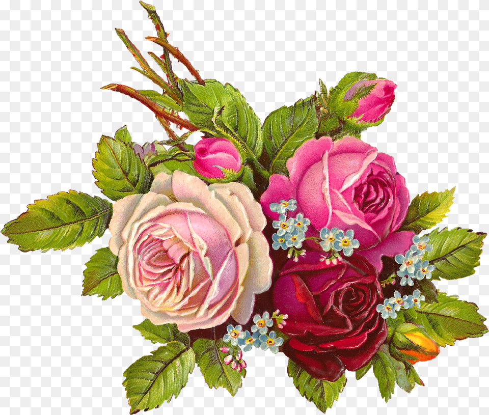 Digital Rose Flower Image Big Roses, Flower Arrangement, Flower Bouquet, Pattern, Plant Png