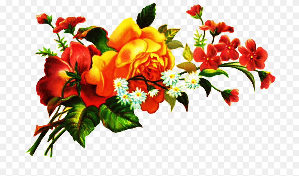 Digital Scrapbooking Flowers, Art, Floral Design, Flower, Flower Arrangement Free Png
