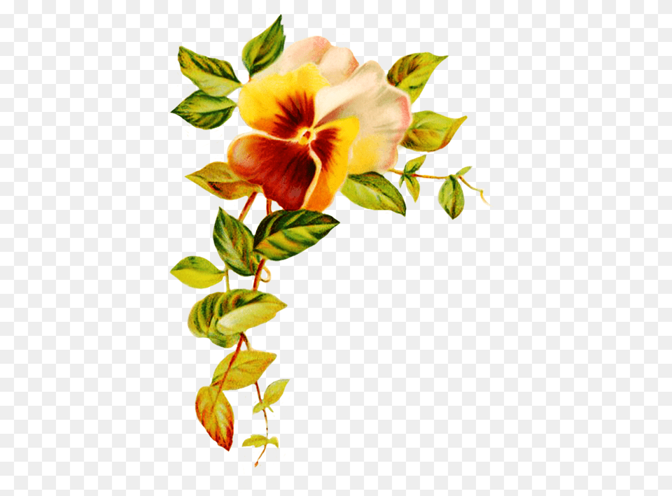 Digital Scrapbooking Flowers, Flower, Plant, Art, Floral Design Free Png Download