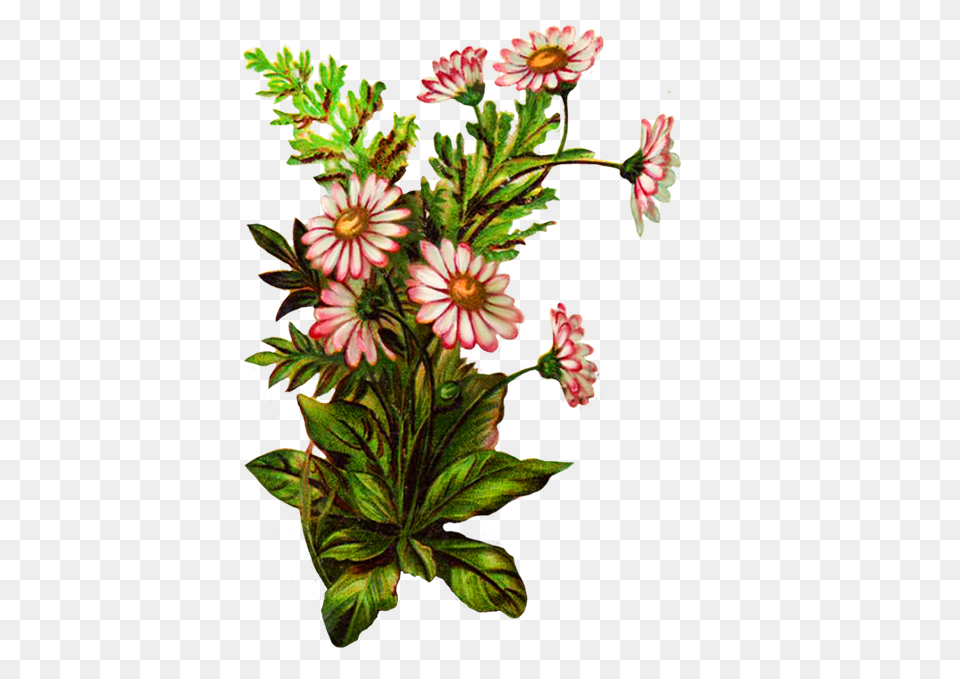 Digital Scrapbooking Flowers Clip Art, Pattern, Graphics, Plant, Flower Arrangement Free Png