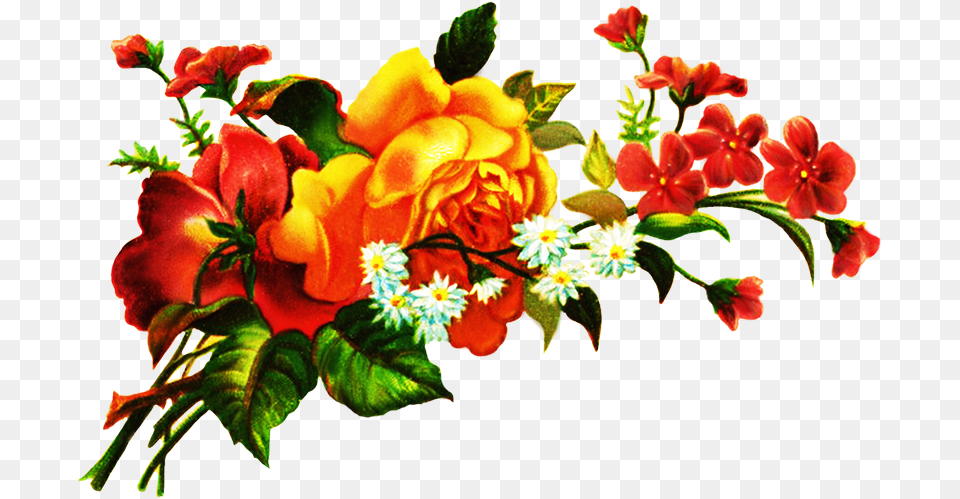 Digital Scrapbooking Flowers Digital Flowers, Art, Plant, Pattern, Graphics Free Png Download