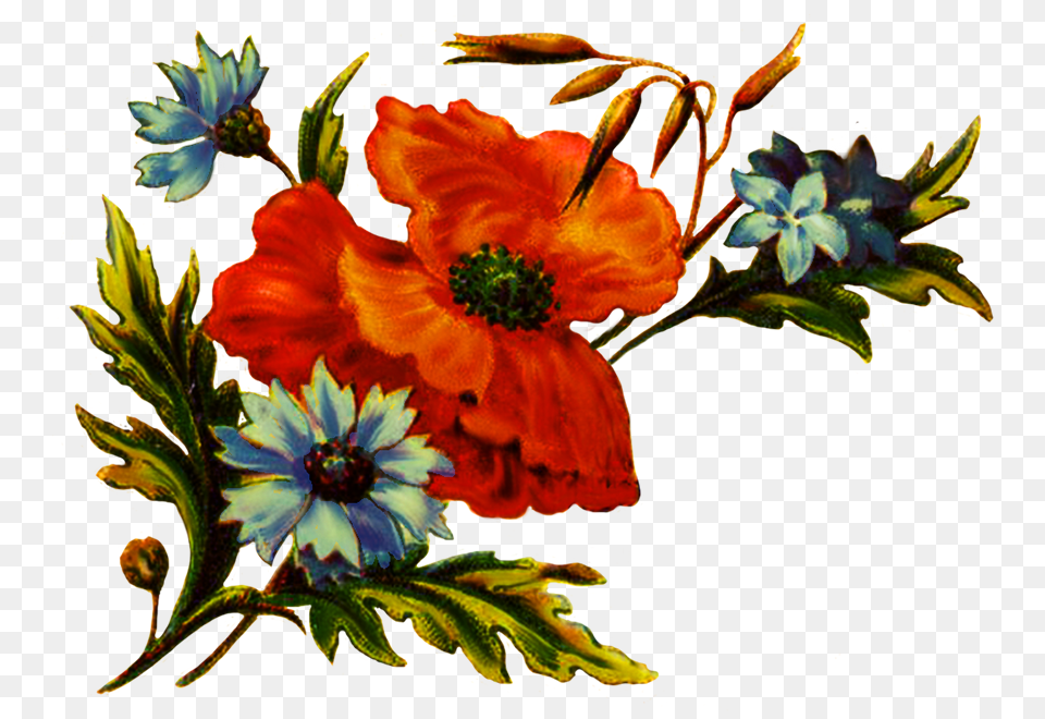 Digital Scrapbooking Flowers Flower Clip Art Decoration, Anemone, Pattern, Painting, Graphics Free Transparent Png