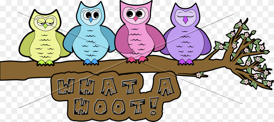 Digital Scrapbooking Owl What A Hoot Title Element Digital Scrapbooking, Book, Comics, Publication, Baby Png