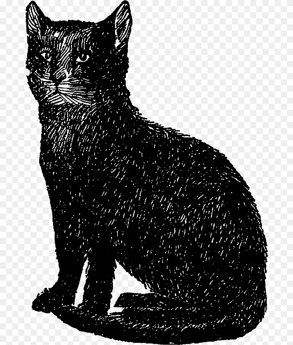 Digital Stamp Design Vintage Black Cat Clipart, Animal, Mammal, Pet, Silhouette Free Transparent Png